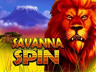 Savanna Spin screenshot